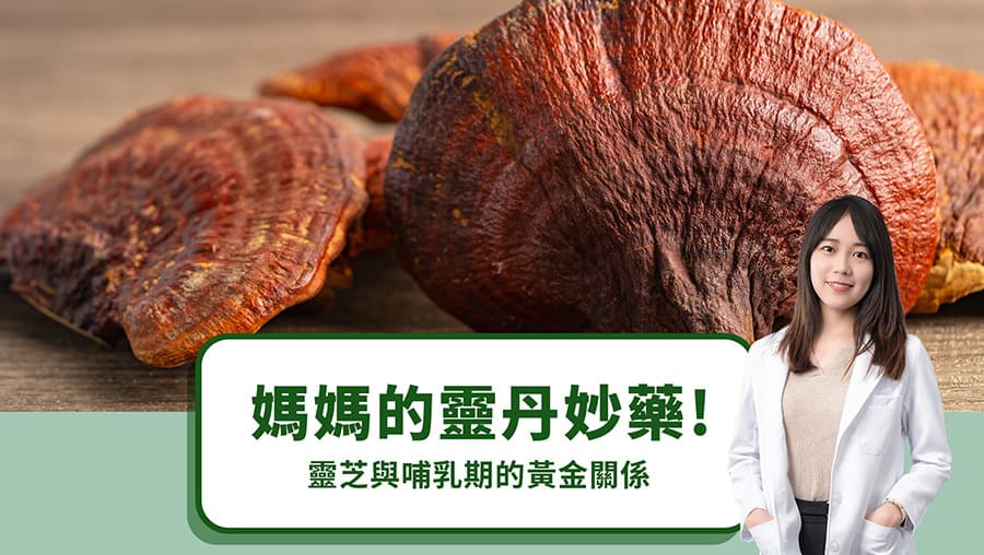 媽媽的靈丹妙藥！靈芝與哺乳期的黃金關係