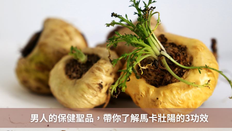 吃馬卡壯陽有效嗎？男人必知的 3 大馬卡功效，讓你體力宛如龍精虎猛